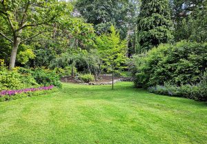 Optimiser l'expérience du jardin à Villeneuve-Lecussan